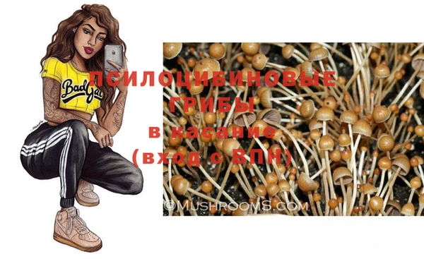 крисы Тольятти