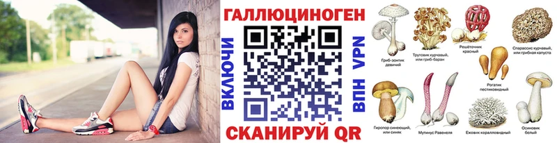 Купить где  Троицк  Галлюциногенные грибы Psilocybine cubensis 